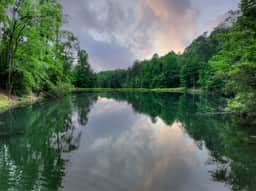 Tiny Lake - Image 4