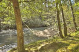 Trout Haven - Image 4