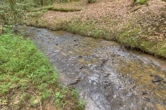 Tiny Creek - Image 5