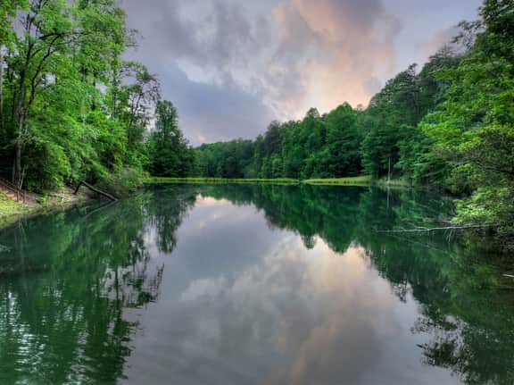 Tiny Lake - Image 4
