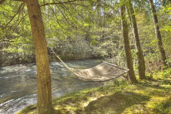 Trout Haven - Image 4