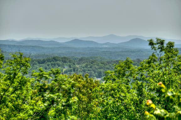 Logging Memories - Image 1